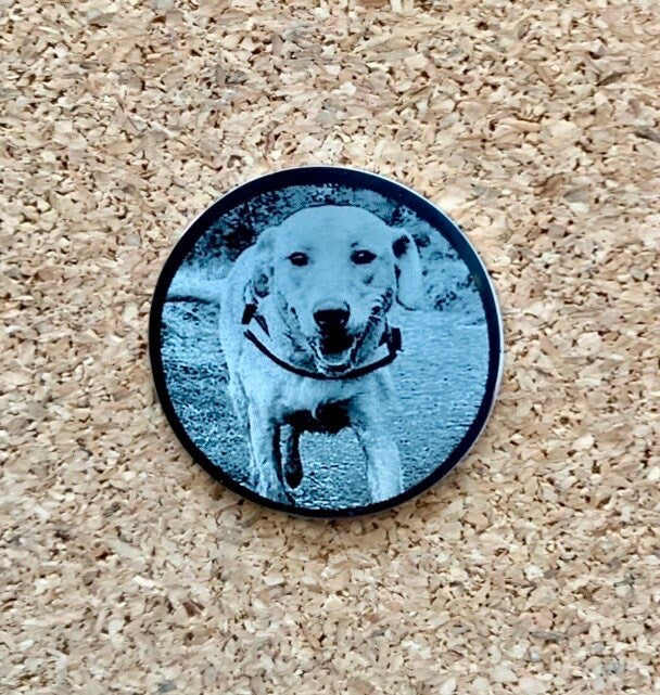 Photo Engraved Pet Keepsake Coin