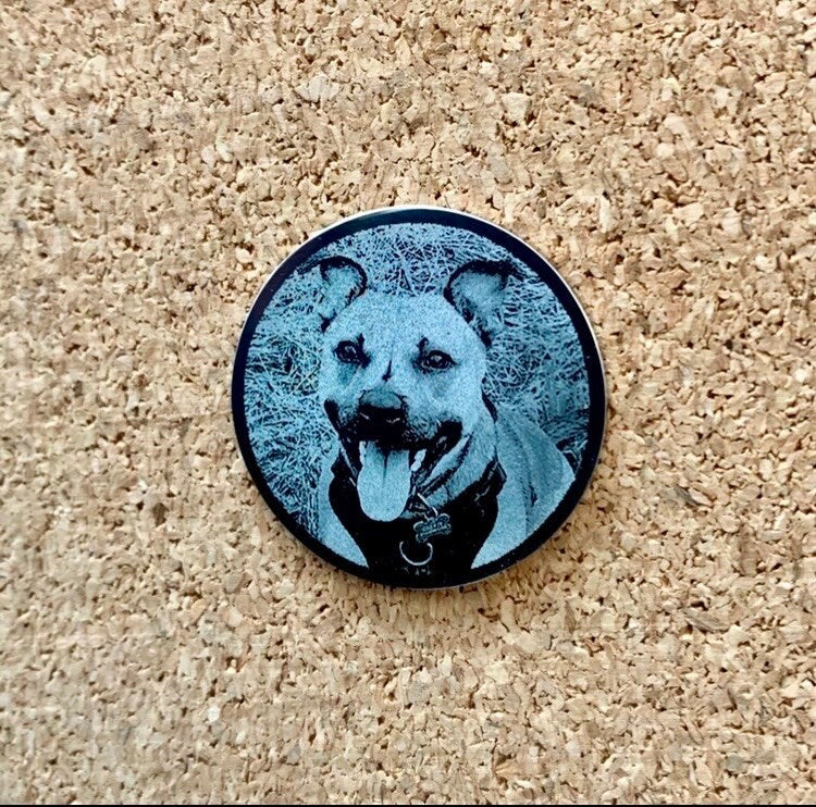 Photo Engraved Pet Keepsake Coin